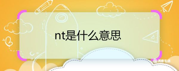 nt是什么意思 nt的意思