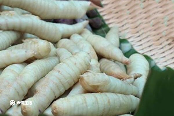 葛郁金的功效与作用 葛郁金有什么功效