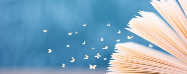 韶华是什么意思 韶华