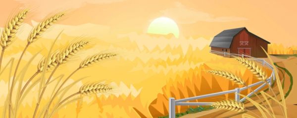 白露是几月几号 白露天气变化