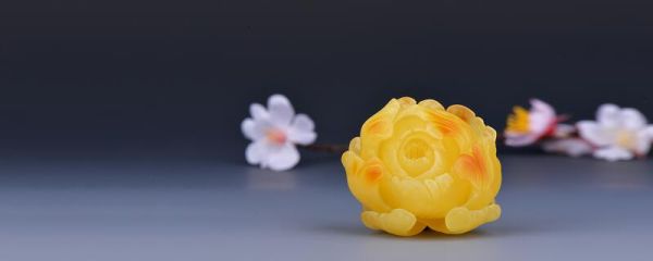 松脂球是怎样变成化石的 松脂球是如何变成化石的