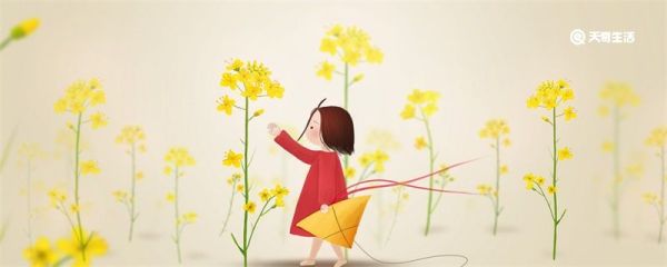 佛说人生感悟的句子 关于人生感悟的句子