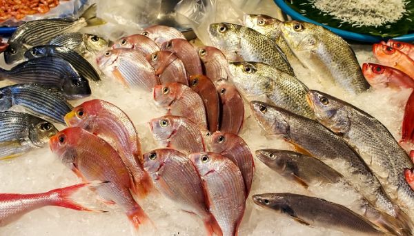 冷冻海鱼怎么去腥味，如何给冷冻海鱼去腥味