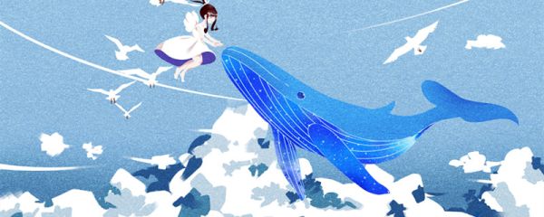 飞鸟与鱼不同路是什么意思 飞鸟与鱼不同路的道理