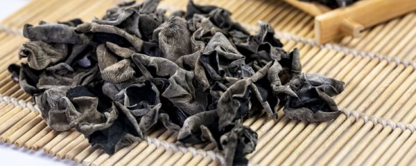 木耳泡了一夜还能吃吗 木耳泡发时间过长会怎样