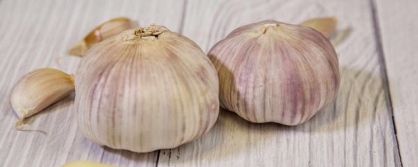 腊八蒜怎么腌制又绿又好吃 腊八蒜怎么腌