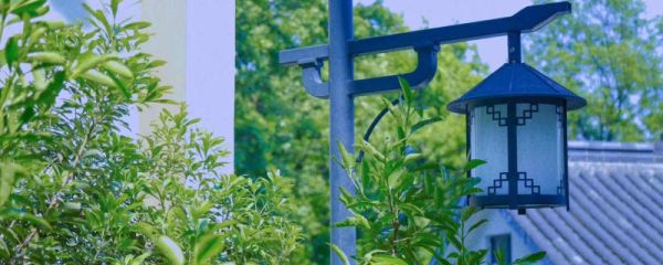 小暑节气传统美食 小暑代表什么意思