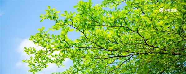 夏天几点天亮 夏天什么时候天亮