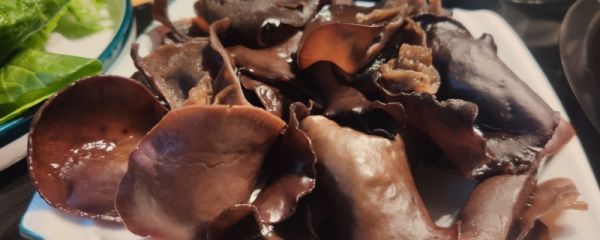 木耳泡发后还需要焯水吗 木耳泡发禁忌事项