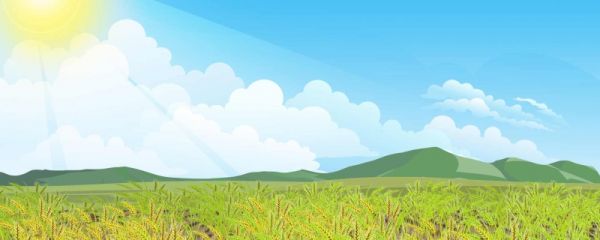 三伏天今年从什么时候开始 2023年三伏天有好多天