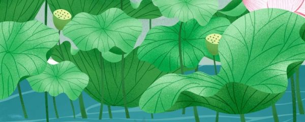 小暑节气的来历 小暑节气有哪三候