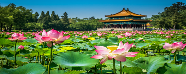 今年大暑节气是几月几日 大暑节气吃什么
