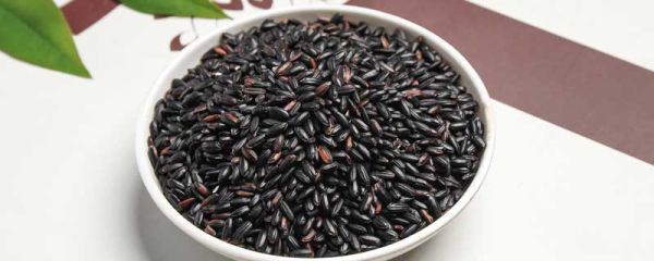 黑糯米和黑米的区别 黑糯米和黑米的区别的功效与作用