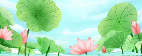 今年几号立夏2023 立夏要干哪些农活