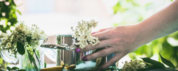 哪些花不能用啤酒喷 哪些花不能用啤酒喷叶子
