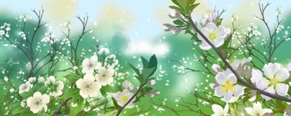 惊蛰节气忌讳 惊蛰节气禁婚约