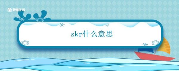 skr什么意思 skr什么意思梗用语