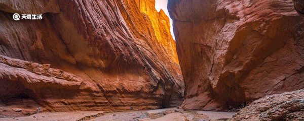 地球上储存碳元素最多的地方是哪里 地球上储存碳元素最多的地方在哪里