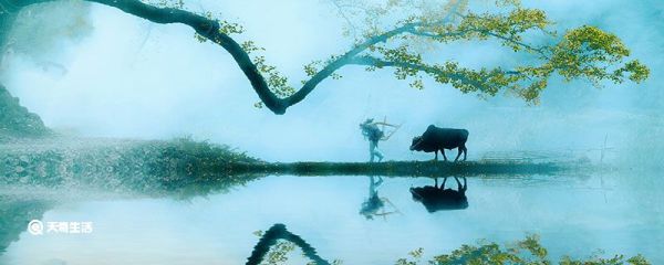 清明节起源 清明节的由来