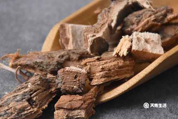 榆树皮的功效与作用  榆树皮的禁忌人群