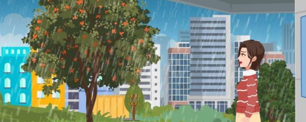 台风为什么多发于夏季 如何理解台风