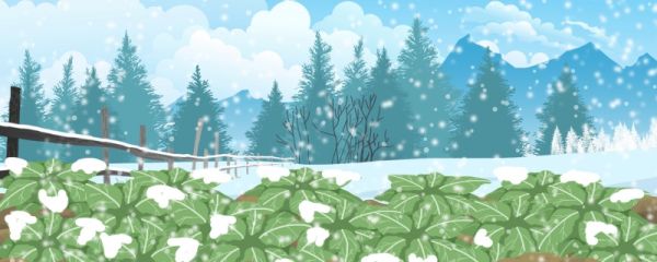 暴雪天气的注意事项 暴雪天气形成原因