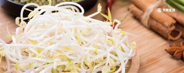 豆芽的生长过程 豆芽是如何生长的