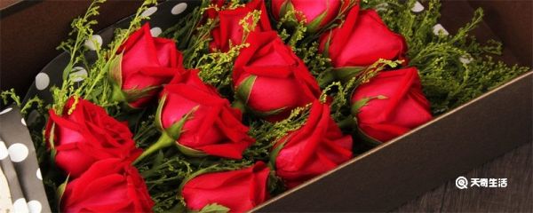 玫瑰花怎么保存 玫瑰花如何保存