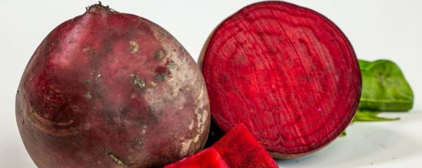 甜菜根在中国叫什么