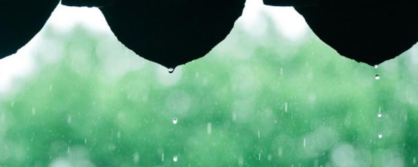 每年的梅雨季节是什么时候 每年的梅雨季节是几月份
