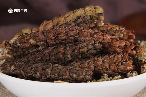夏枯全草的功效与作用点 夏枯全草的功效