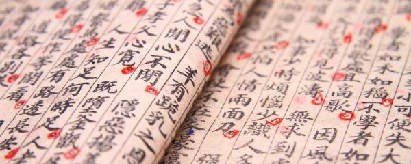 省者全无知者减半出自哪里 省者全无知者减半是什么意思