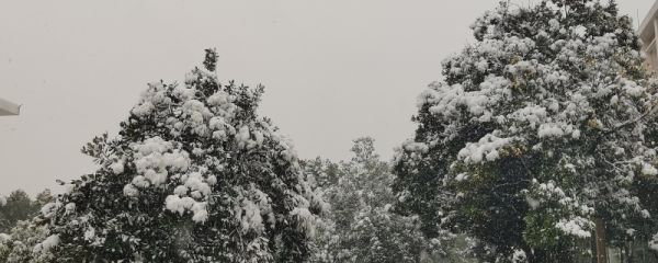 暴雪天气的形成原因 暴雪天气的预警准备