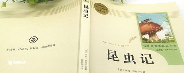 昆虫记被誉为 昆虫记被誉为什么