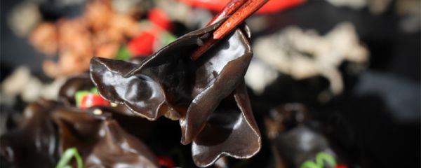 泡好的木耳放冰箱多久 发泡后的木耳放冰箱能保存多久