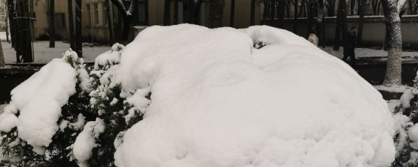 暴雪预警信号等级 暴雪天气应对措施