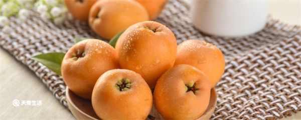 批把果能吃吗 批把果能不能吃