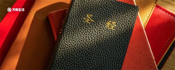 诺亚方舟是什么意思 诺亚方舟是什么