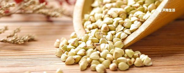 乌麦是什么 乌麦的生长习性