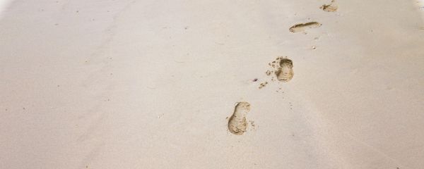 其实地上本没有路走的人多了意思  其实地上本没有路走的人多了的意思