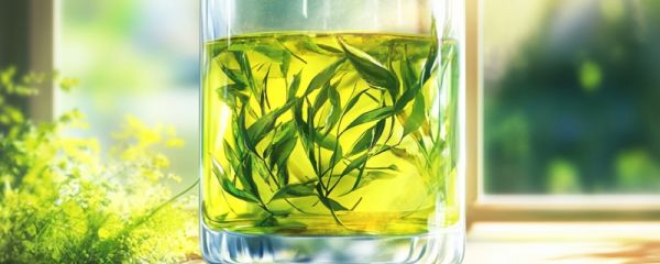 绿茶可以做奶茶吗