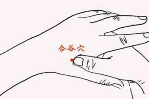 按摩合谷的功效与作用 按摩合谷的功效