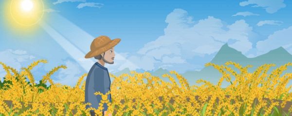 芒种节气天气特点 芒种天气晴怎么说