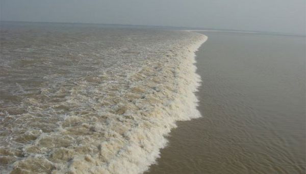 钱塘江入海口在哪里 钱塘江入海口在什么地方