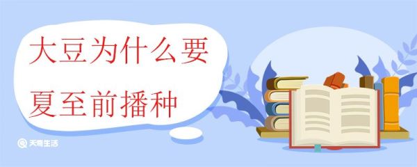 大豆为什么要夏至前播种 夏至期间的气象变化