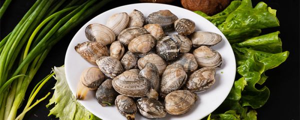 海虹蒸多久才可以熟 海虹蒸多久才可以熟肉