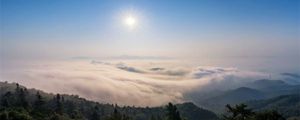 青城山海拔 青城山海拔多少米高