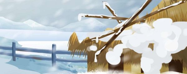 大雪是二十四节气中的第几节气 大雪节气名称由来