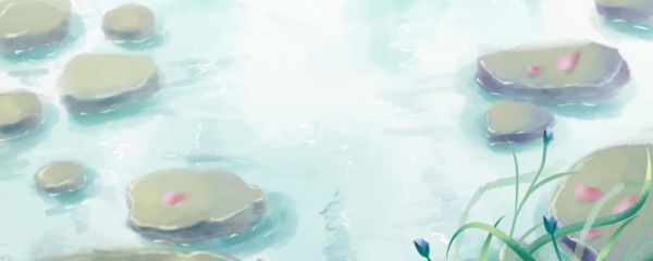 夏至是夏季的第几个节气 夏至节气吃什么