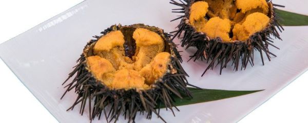 海胆怎么吃 海胆好吃吗什么味道